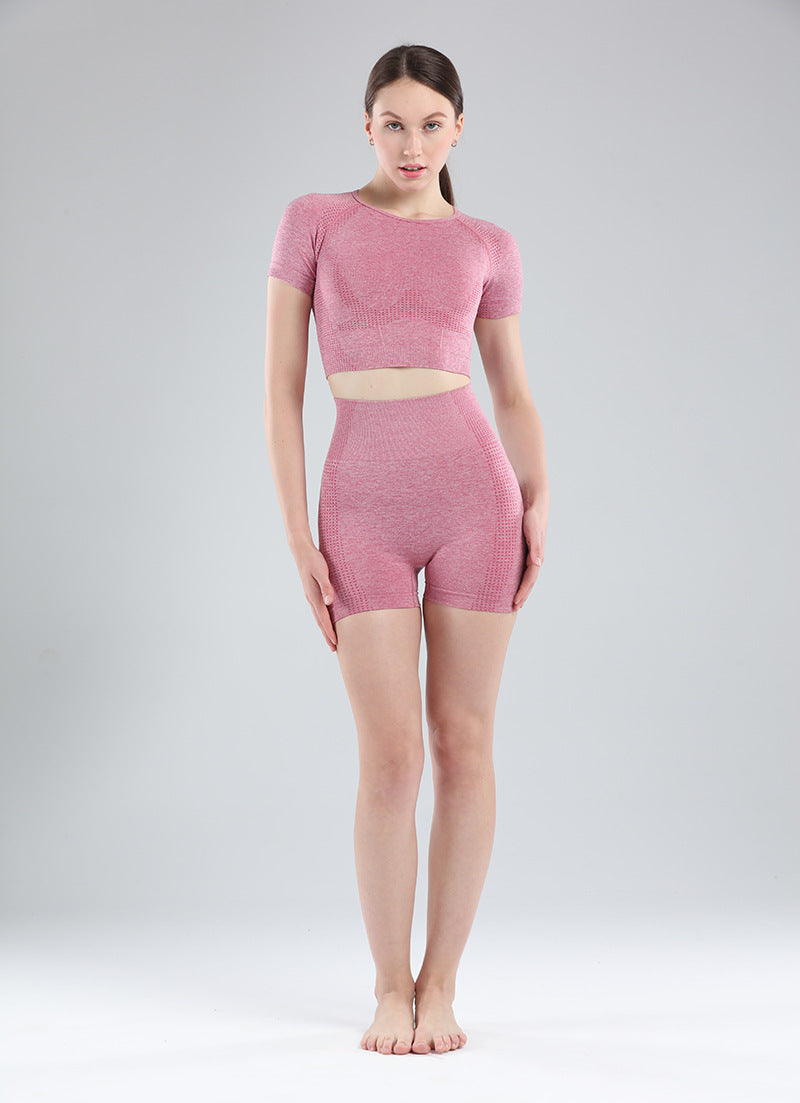 Women Short Sleeve Shirt Yoga Set 2PCS Vital Seamless Sport Suit Gym Clothes Fitness Crop Top Shirt High Waist Shorts Tights-1
